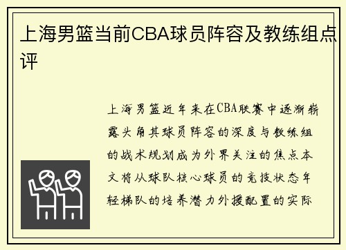 上海男篮当前CBA球员阵容及教练组点评